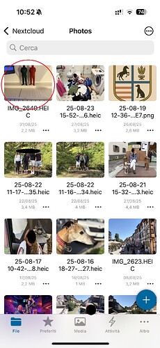 IMG_2650.PNG