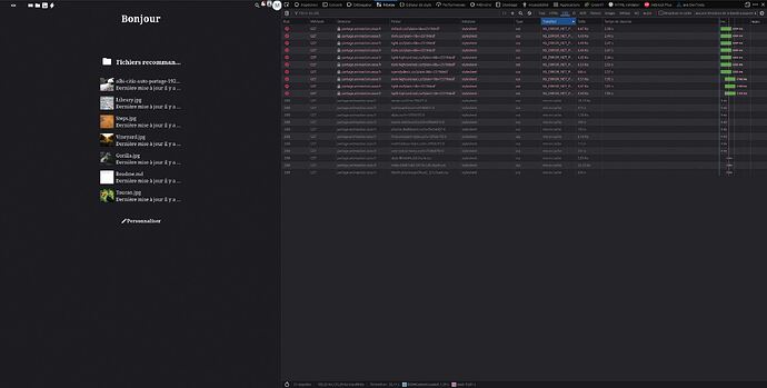 2025-11-21 11-44-24(1)