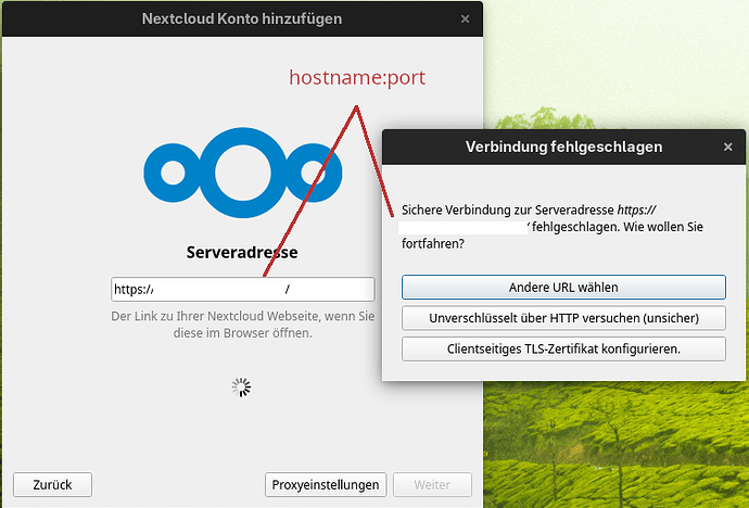 01-client-hostname-connection-fail