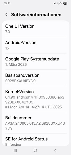 Screenshot_20250516_153145_Settings