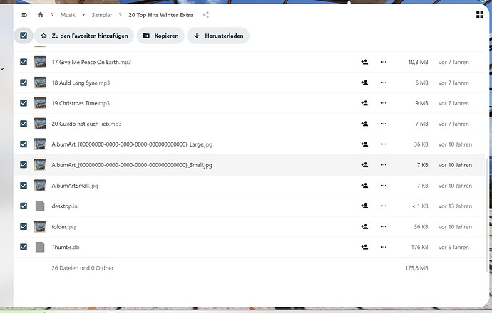 Screenshot 2024-01-19 140451