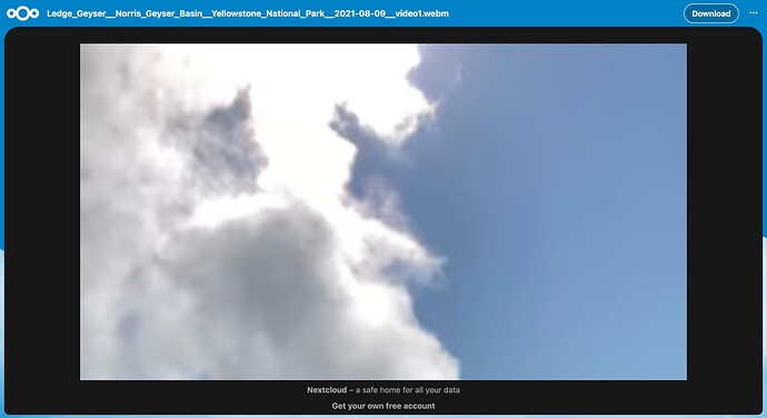 Screenshot 2024-05-16 at 10-55-08 Ledge_Geyser__Norris_Geyser_Basin__Yellowstone_National_Park__2021-08-09__video1.webm